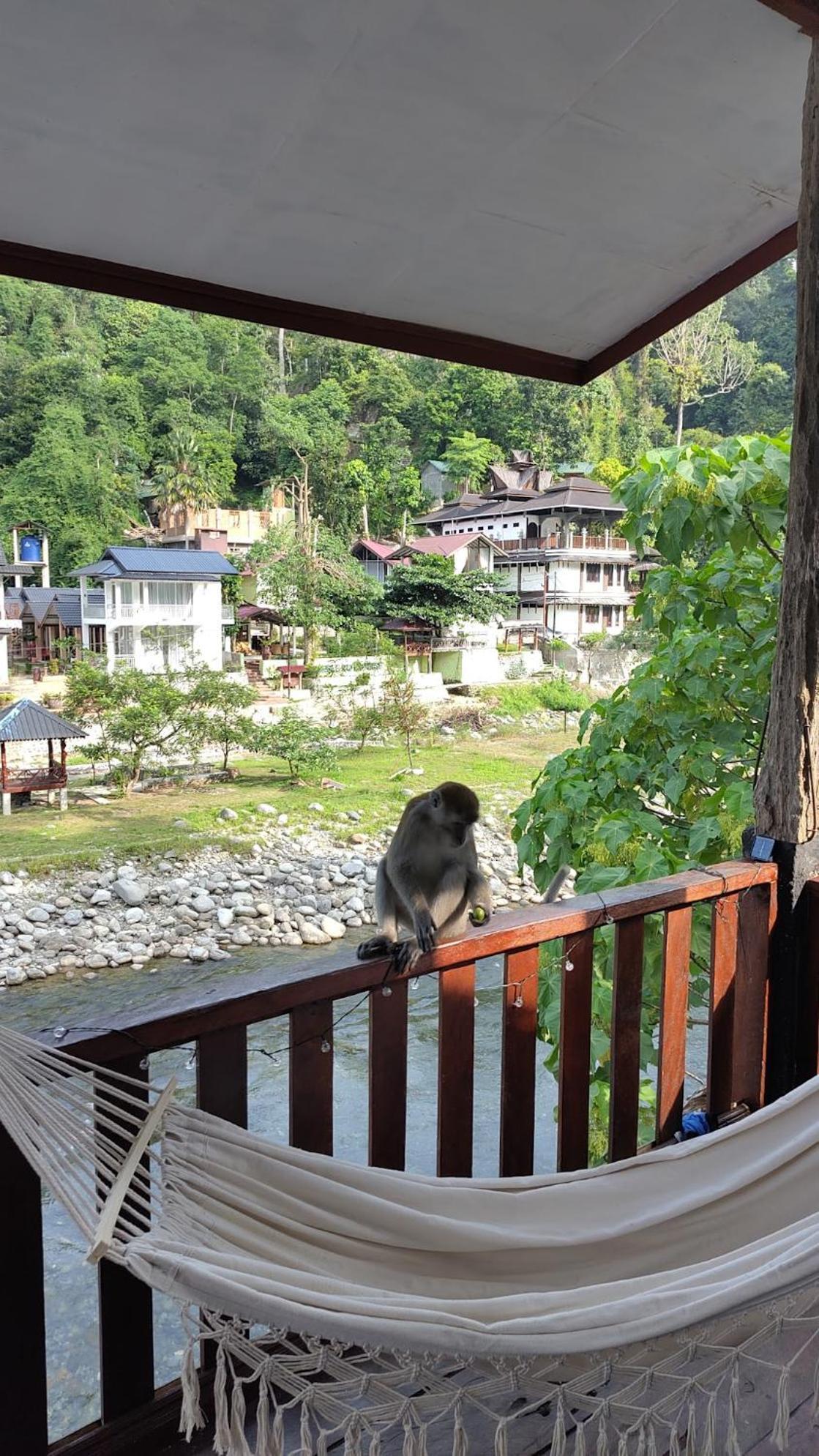 Charlys Little House Hotel บูกิตลาวัง ภายนอก รูปภาพ