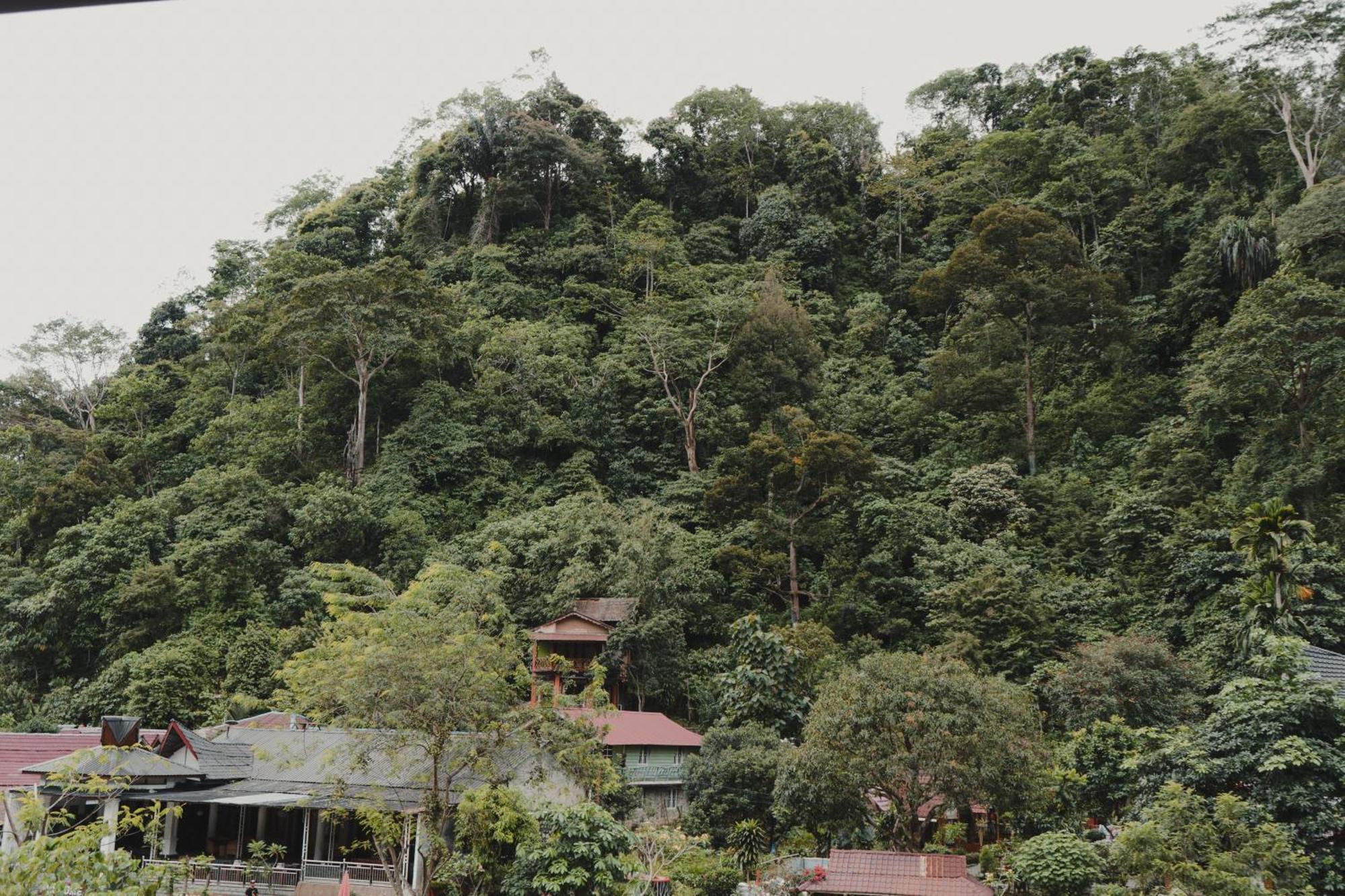 Charlys Little House Hotel บูกิตลาวัง ภายนอก รูปภาพ
